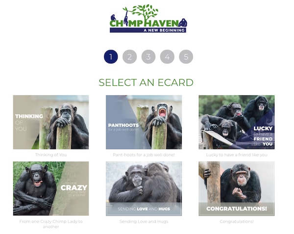 A screenshot of Chimp Haven's eCard campaign shows six panels of chimps in different positions with different graphics overlaying the images.