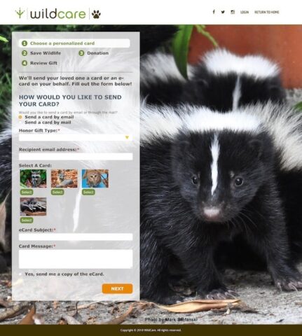 Wildcare's ecard campaign and donation form fields overlap an extra cute photo of a small, fuzzy skunk.