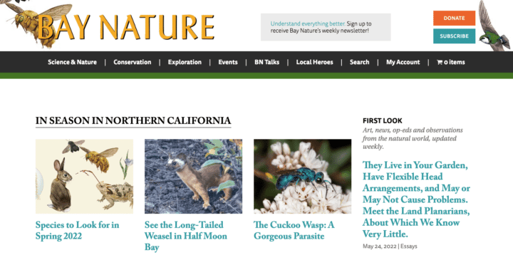 Bay Nature Website Homepage