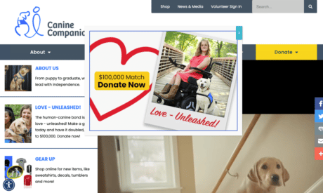 CCI Website homepage