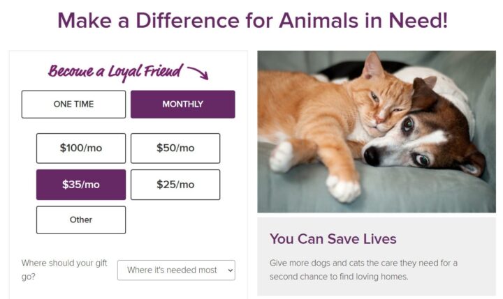 Animal Rescue Foundation donation form showing monthly giving levels