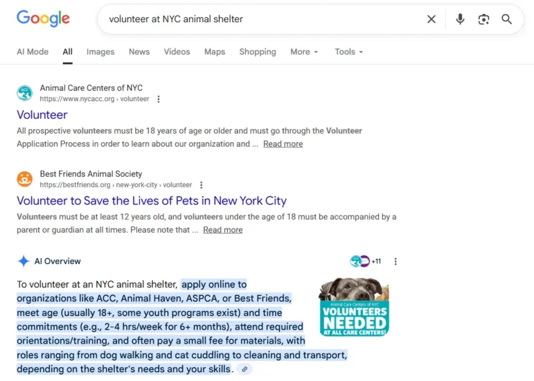 A screenshot of the SERP for “volunteer at NYC animal shelter,” which features organizations that follow nonprofit SEO best practices.