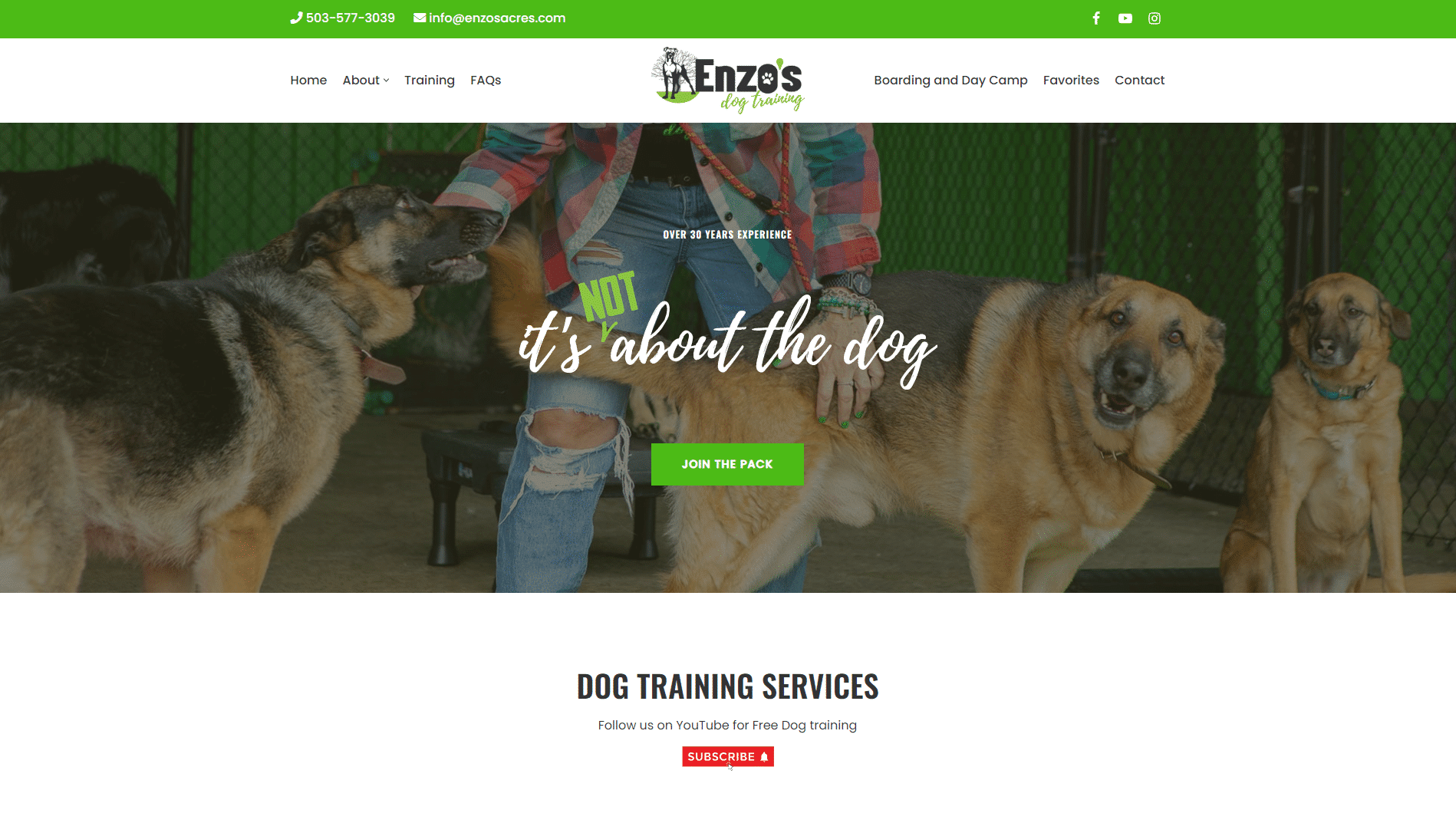 Enzo’s Dog Training Sees a Huge Jump in Ads Interactions