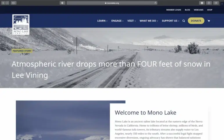 A screenshot of the Mono Lake Committee’s well-maintained website.