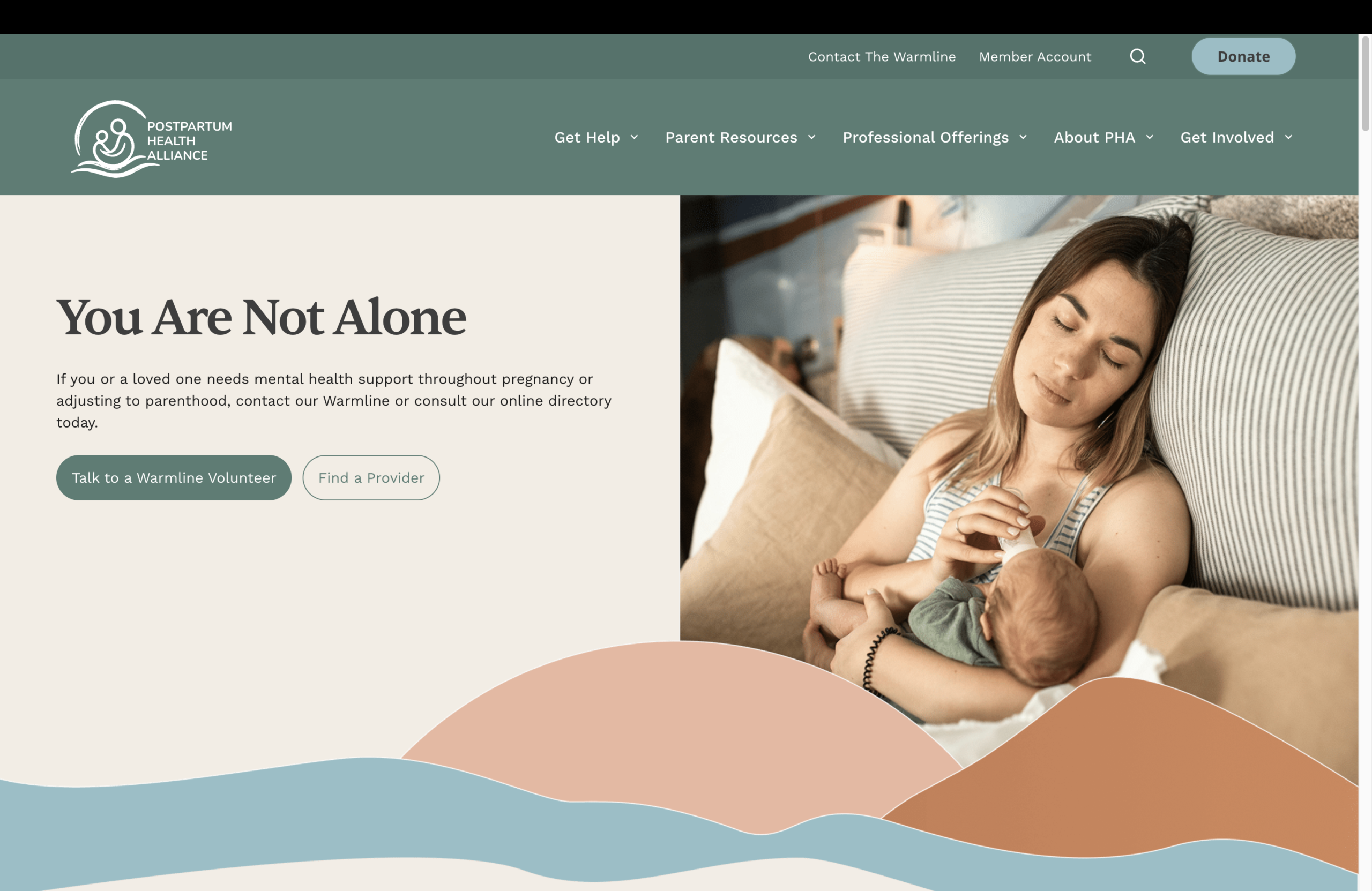 Building a Smarter Home for Postpartum Support: Postpartum Health Alliance’s New WordPress Site